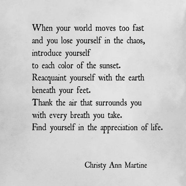 Christy Ann Martine