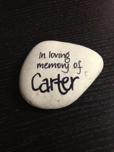 Our Legacy from a Special Boy Carter - Tony Curl