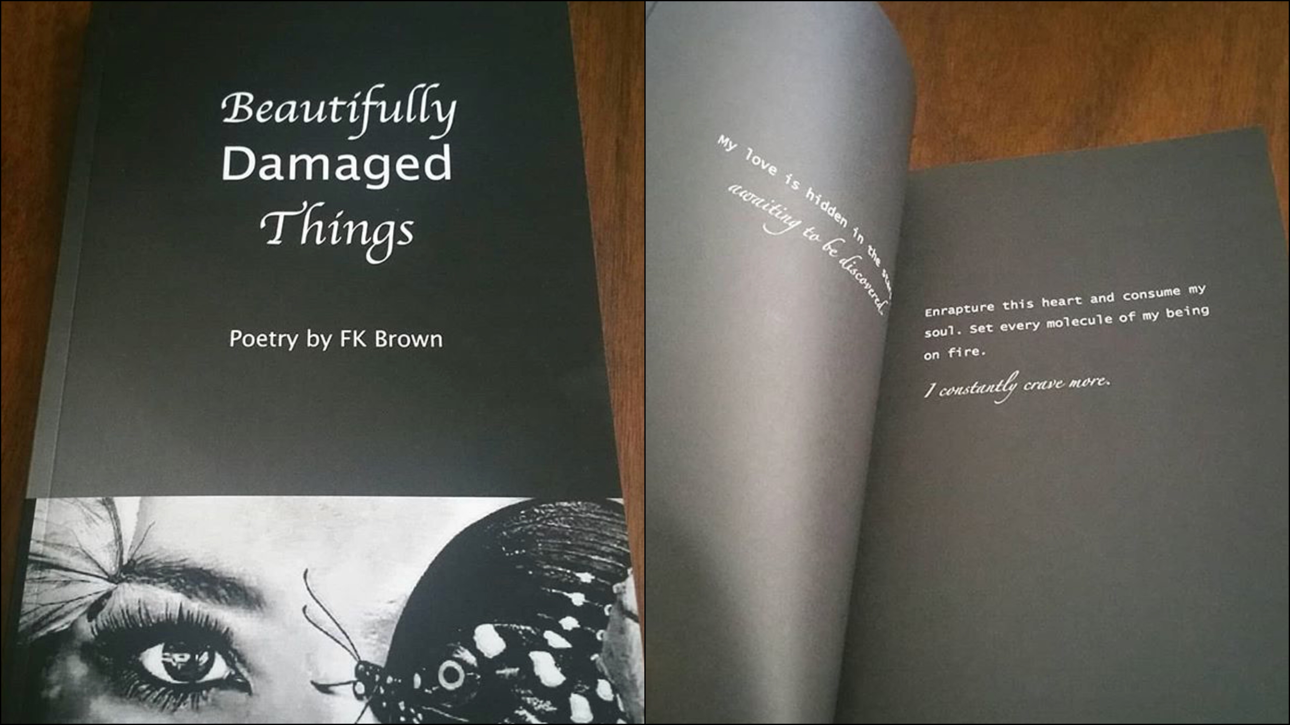 Book Review of “Beautifully Damaged Things” By FK Brown