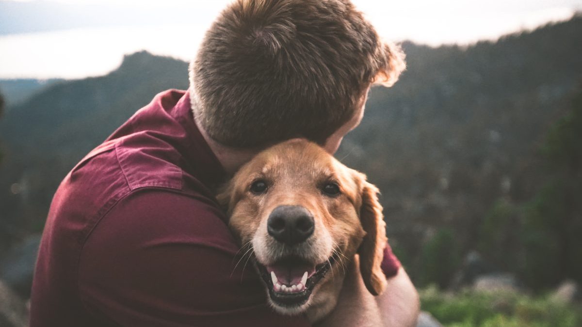 Emotional Support Animals: Improving Your Quality of Life