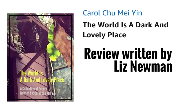 A Review of The World Is A Dark And Lovely Place by Carol Chu Mei Yin – Liz Newman